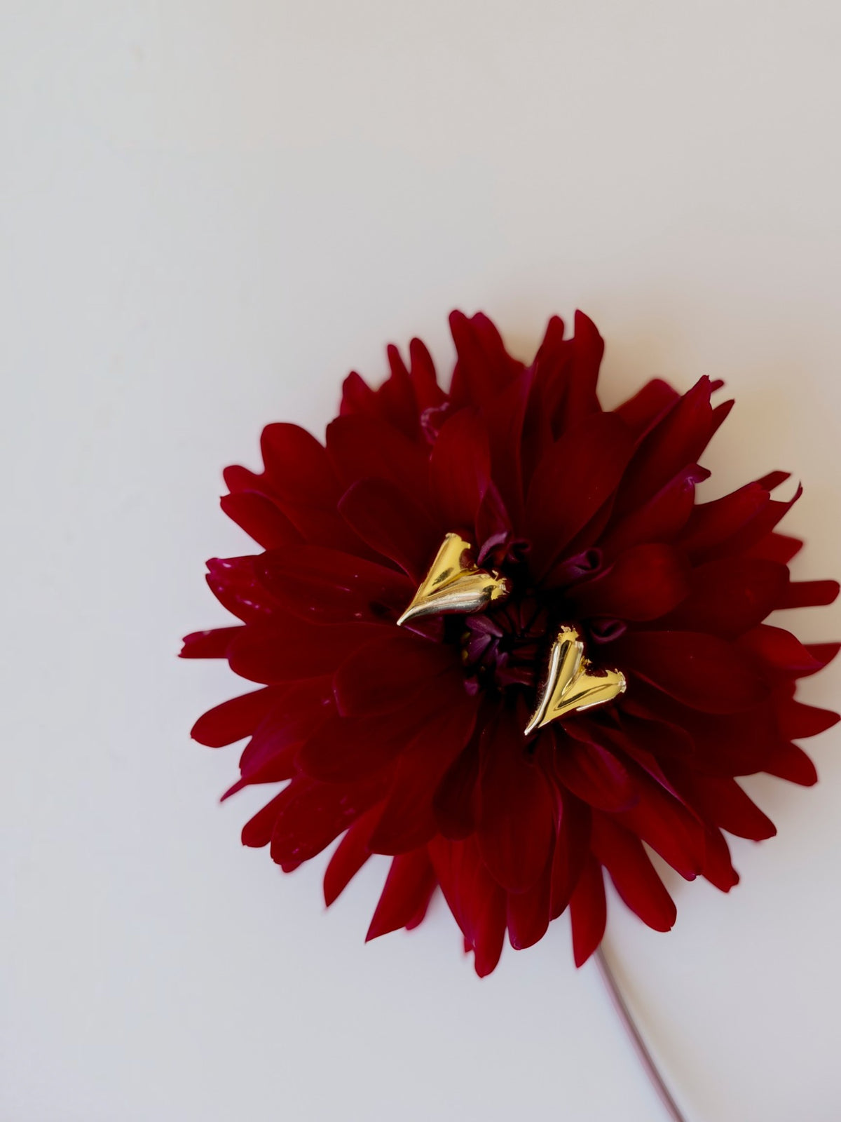 VALENTINA EARRINGS - Large Gold